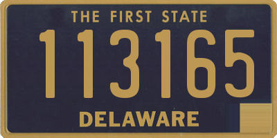 DE license plate 113165