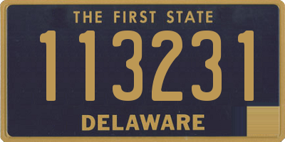 DE license plate 113231