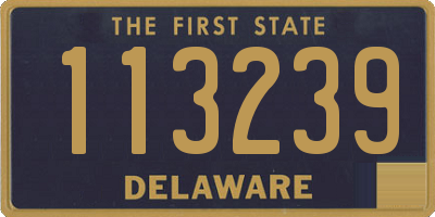 DE license plate 113239