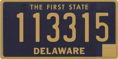 DE license plate 113315