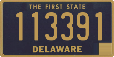 DE license plate 113391