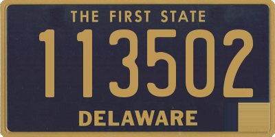 DE license plate 113502