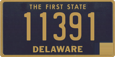 DE license plate 11391