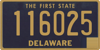 DE license plate 116025