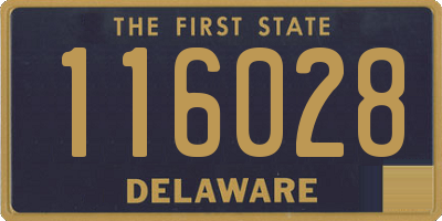 DE license plate 116028