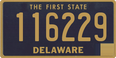 DE license plate 116229