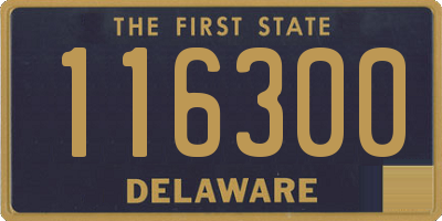 DE license plate 116300