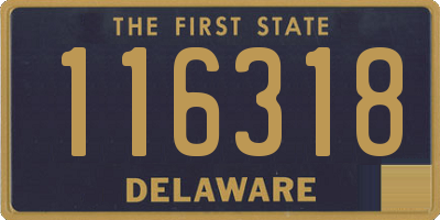 DE license plate 116318