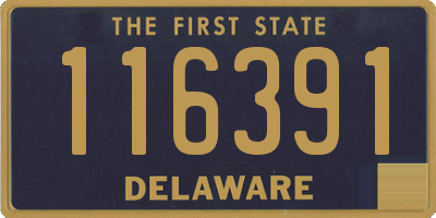 DE license plate 116391