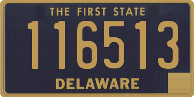 DE license plate 116513