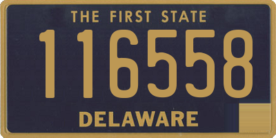 DE license plate 116558