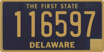 DE license plate 116597