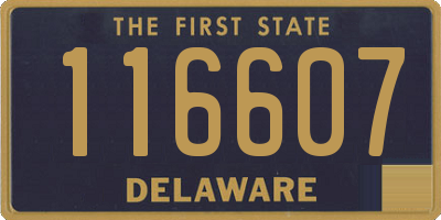 DE license plate 116607