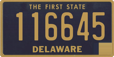 DE license plate 116645