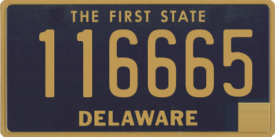 DE license plate 116665