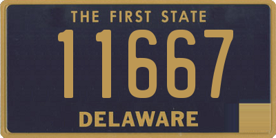 DE license plate 11667