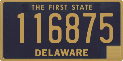 DE license plate 116875