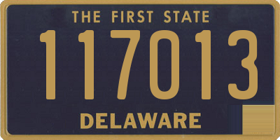 DE license plate 117013