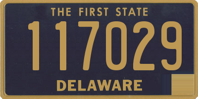 DE license plate 117029