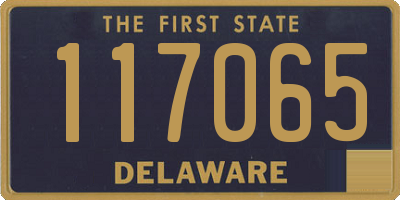 DE license plate 117065