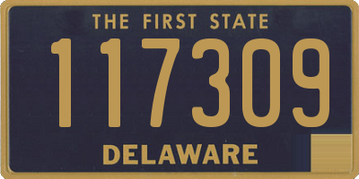 DE license plate 117309