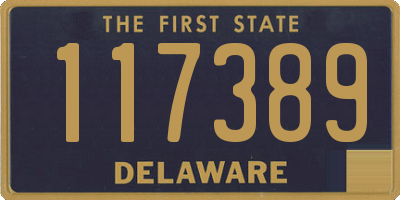 DE license plate 117389