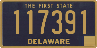 DE license plate 117391