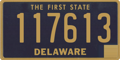 DE license plate 117613