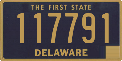 DE license plate 117791