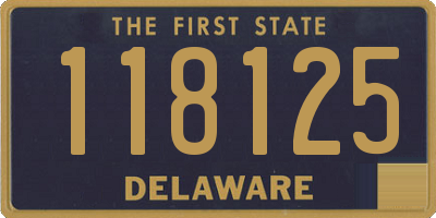 DE license plate 118125