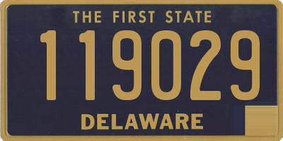 DE license plate 119029