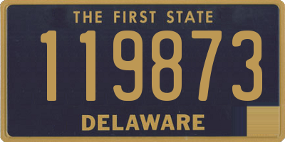 DE license plate 119873