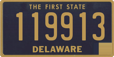 DE license plate 119913