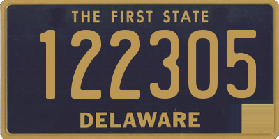 DE license plate 122305