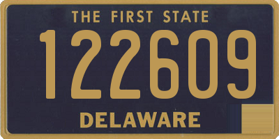 DE license plate 122609