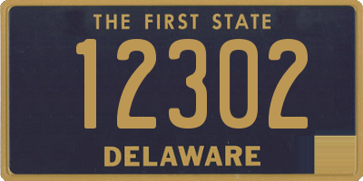 DE license plate 12302