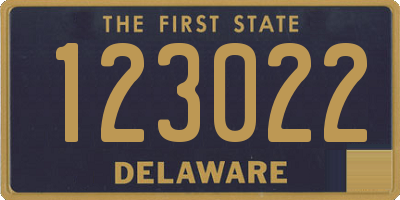 DE license plate 123022