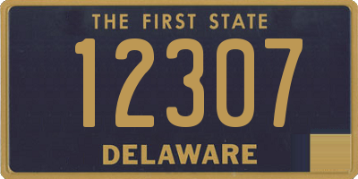 DE license plate 12307