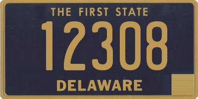 DE license plate 12308