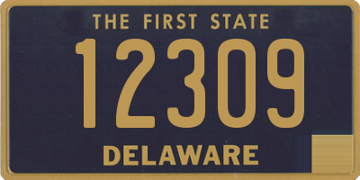 DE license plate 12309