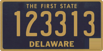 DE license plate 123313