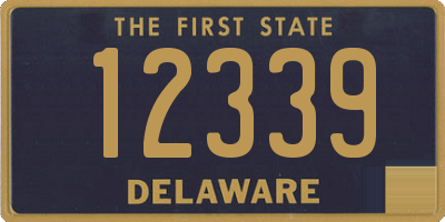 DE license plate 12339