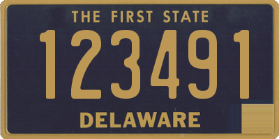 DE license plate 123491