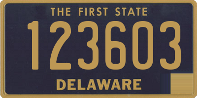 DE license plate 123603