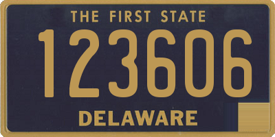 DE license plate 123606