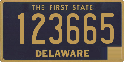 DE license plate 123665