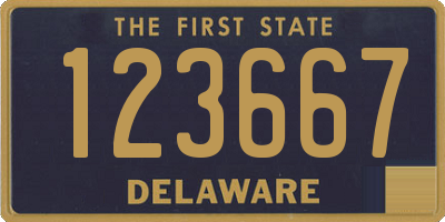 DE license plate 123667