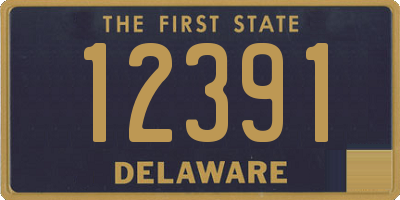 DE license plate 12391