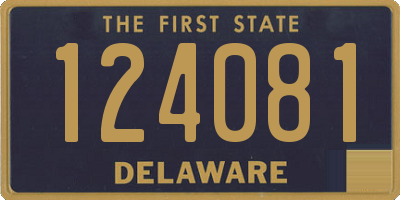 DE license plate 124081