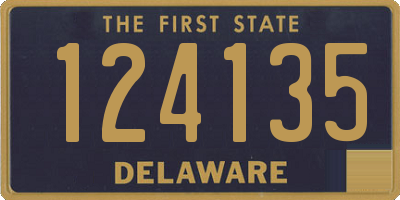 DE license plate 124135